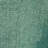 Sea Green Organza Charm Saree